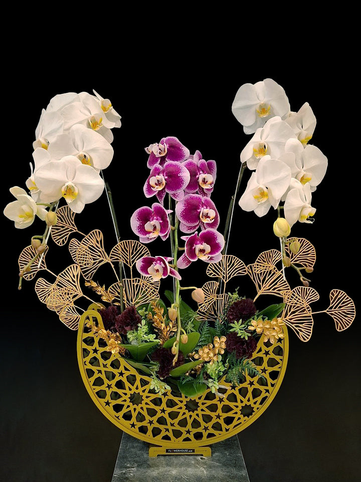 Bahiz Orchids Arrangement