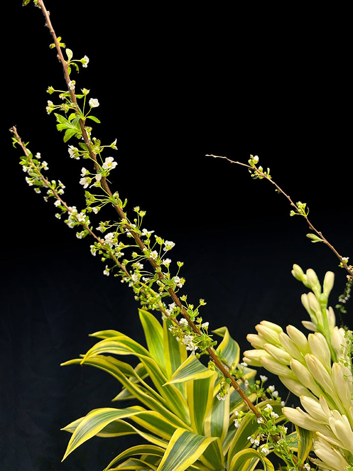 Sahid Tuberose Vase