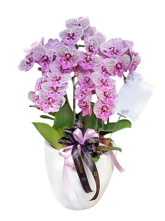 Wei Orchid Vase