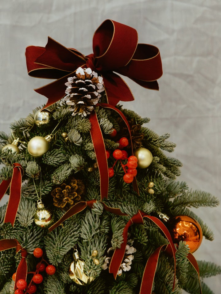 Nobilis Christmas Tree