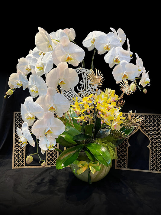 Blessing Orchid