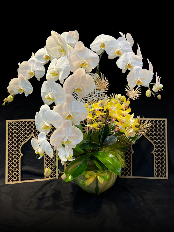 Blessing Orchid