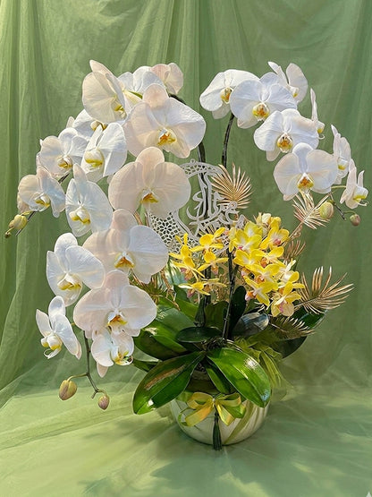 Blessing Orchid