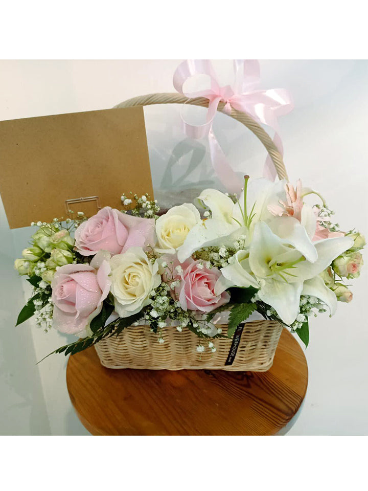 Elena Basket