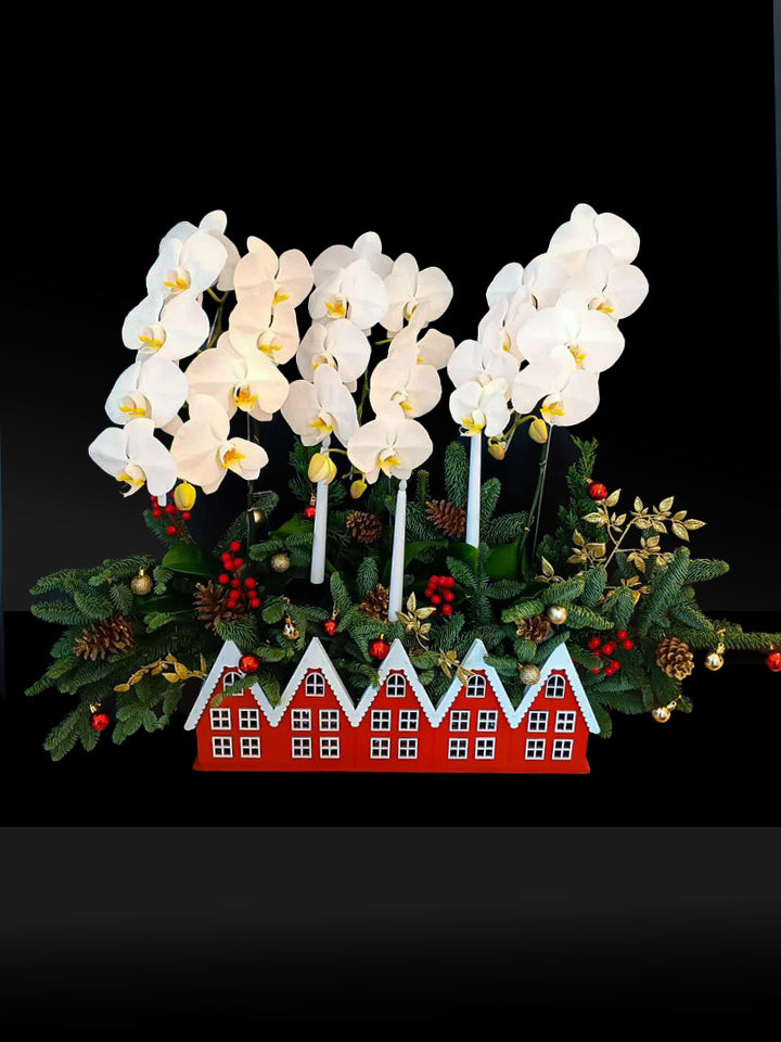 Nobilis Orchid Hamper