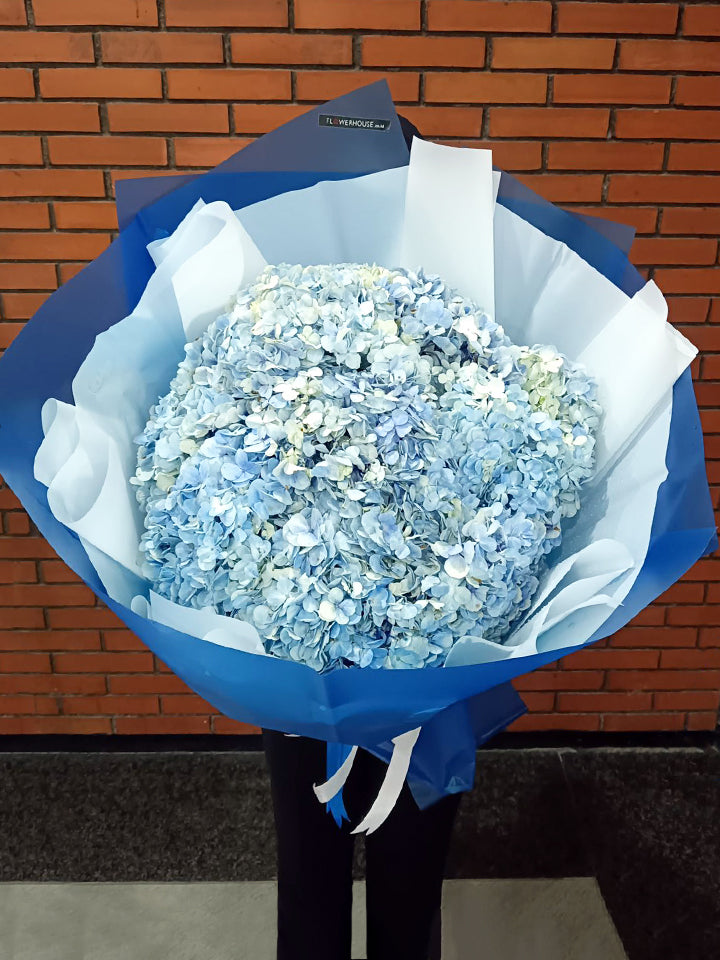 A Dozen Hydrangea Bouquet