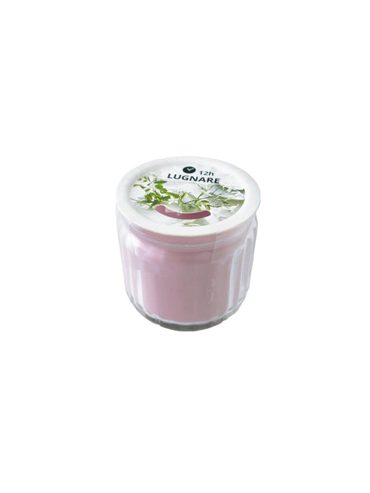 Candle (S)
