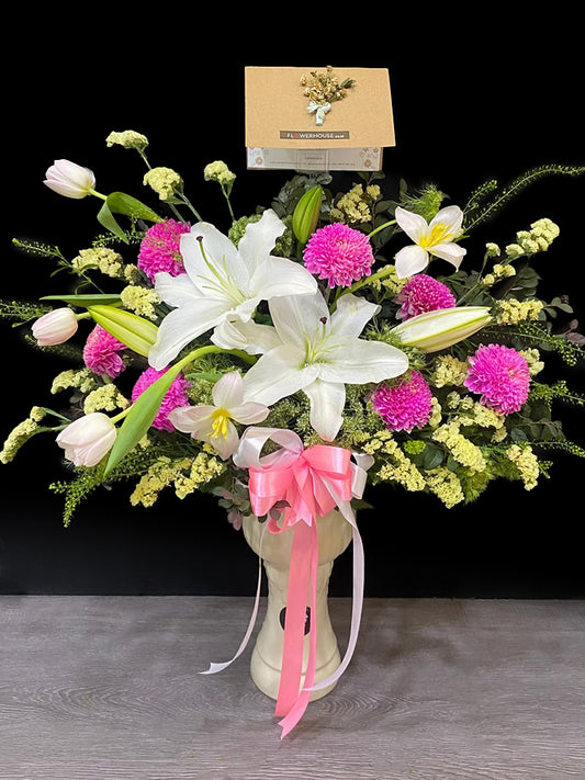 Lisa Vase