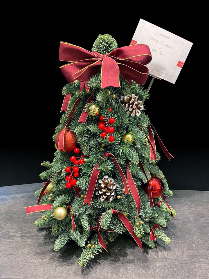 Nobilis Christmas Tree