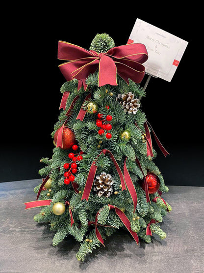 Nobilis Christmas Tree