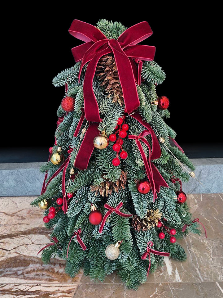 Nobilis Christmas Tree