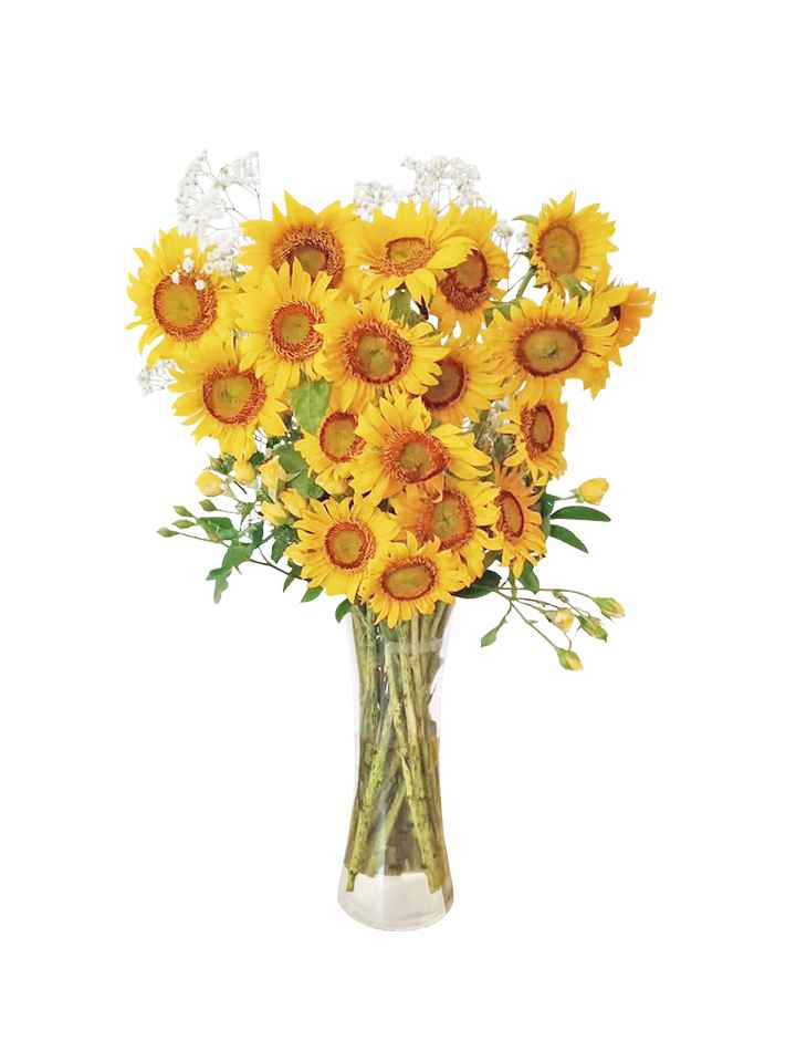 20 Sunflowers Vase – Flowerhouse