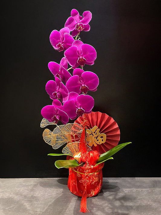 Xing CNY Orchid