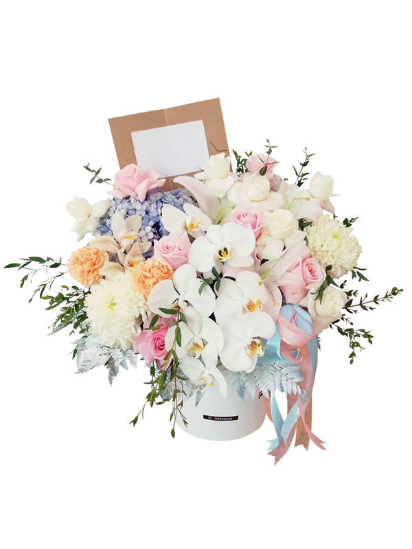 Shania Posy Box – Flowerhouse