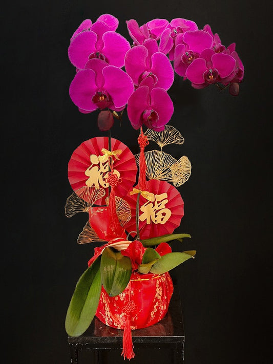 Liang Orchids Hampers